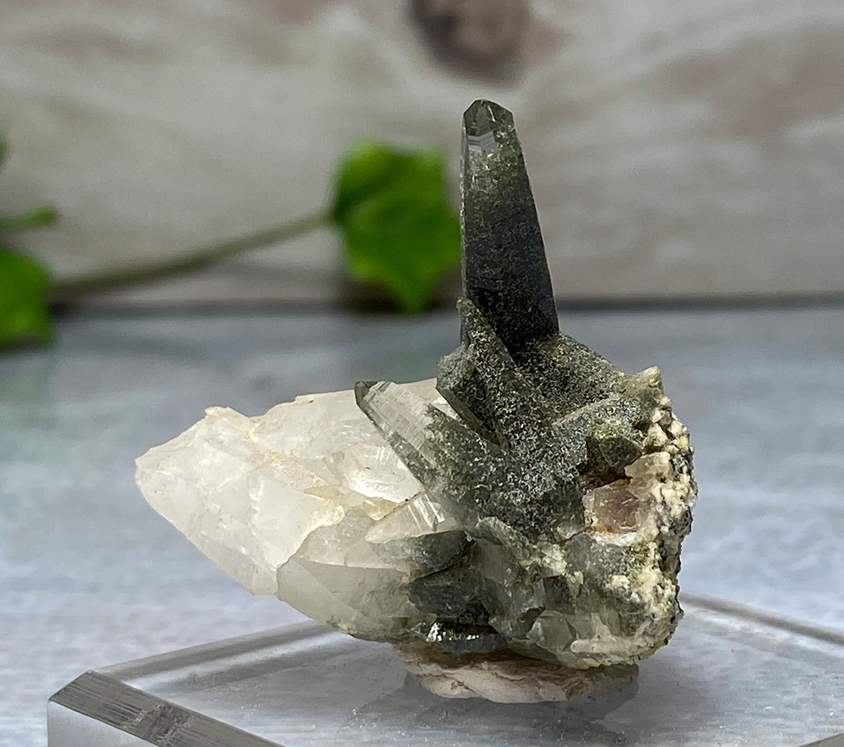 ガネーシュヒマール産水晶 M ②｜原石 | 天然石・パワーストーンの卸