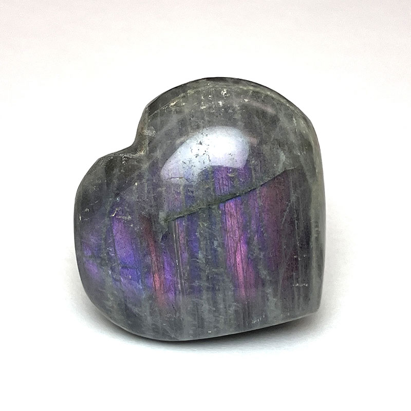 ラブラド ハート (M)　No,4010