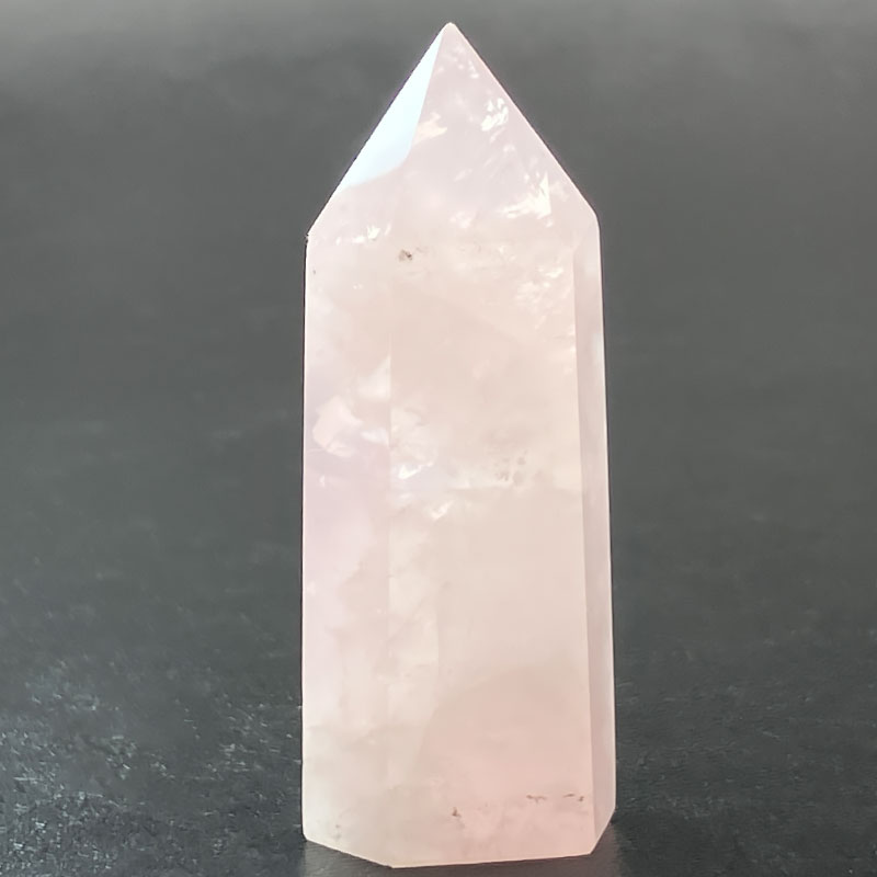 ローズポイント (L)　No,4016