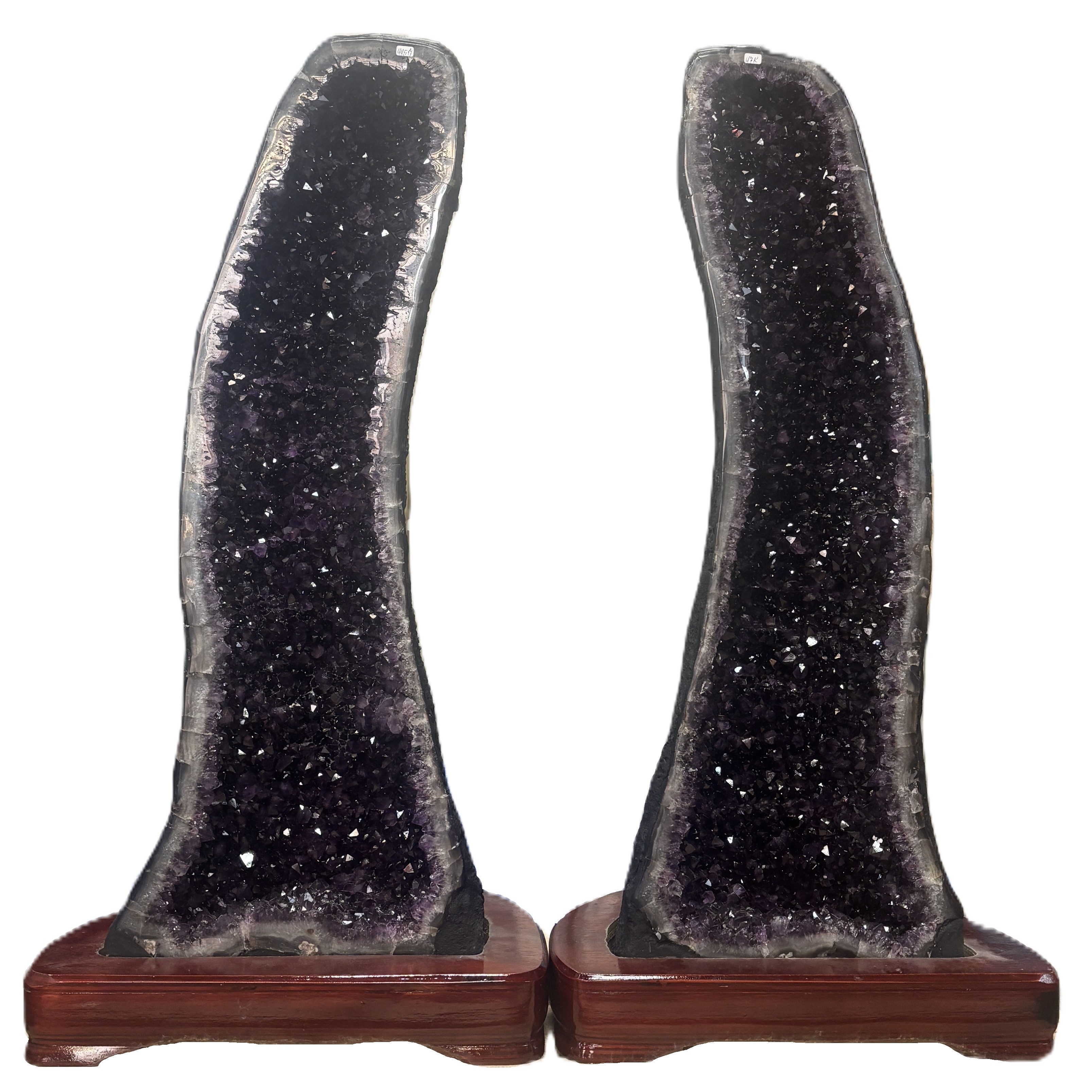 アメジストカペーラ ペア　No,①