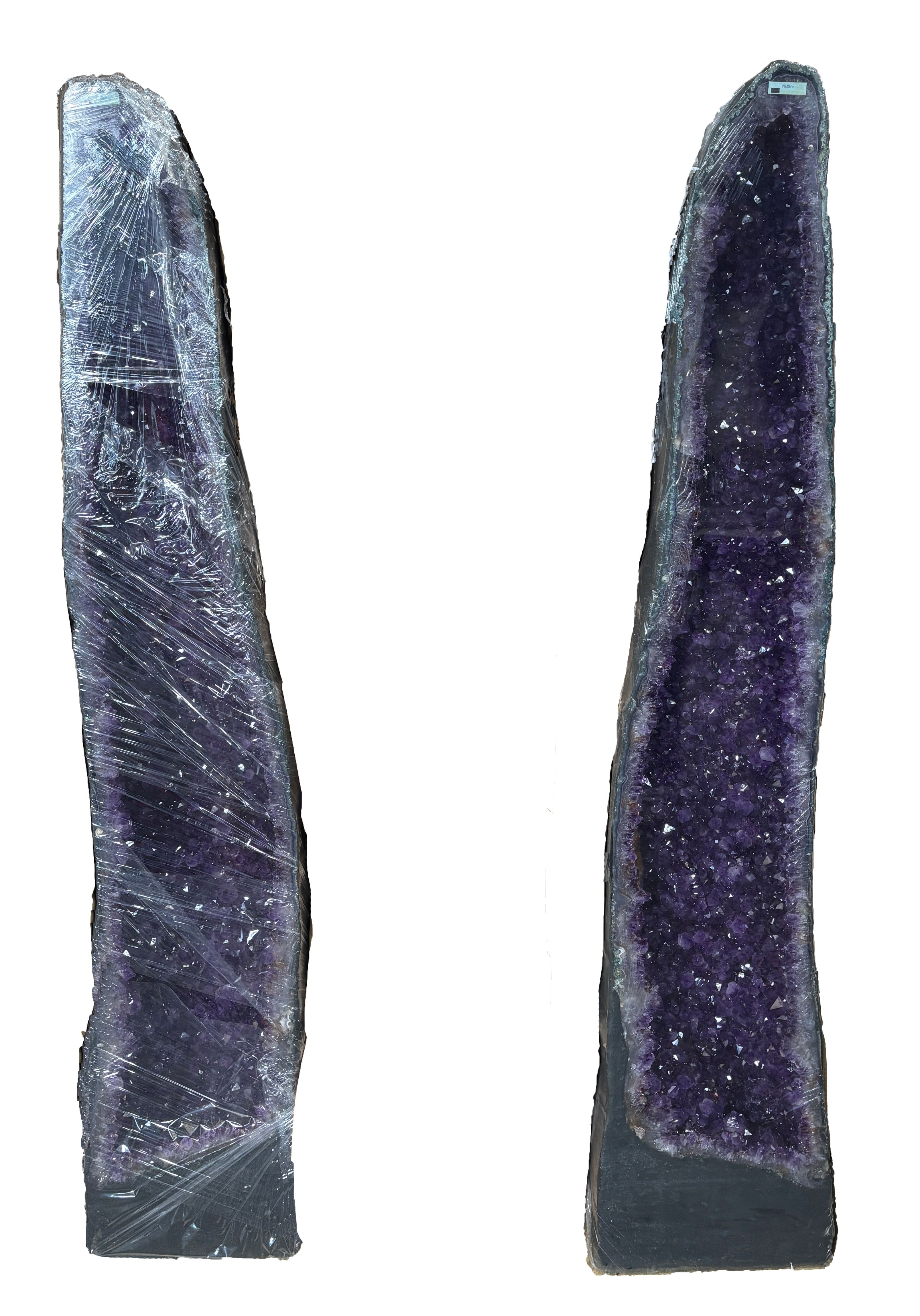 アメジストカペーラ ペア　No,③