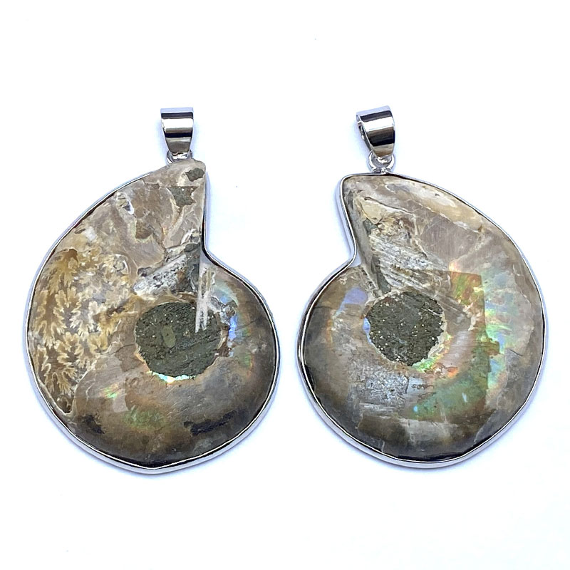 アンモナイト（ペア）PT　 No,4343