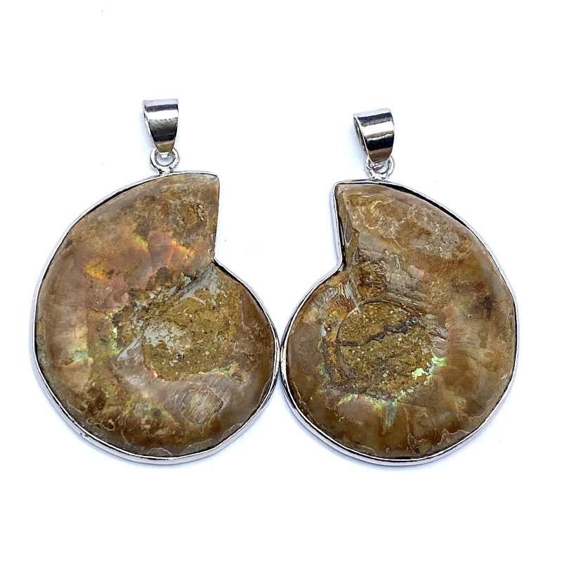 アンモナイト（ペア）PT　 No,4345