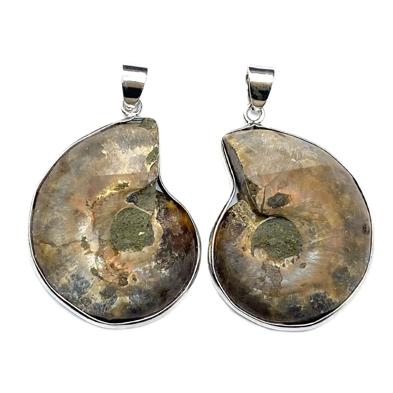 アンモナイト（ペア）PT　 No,4346