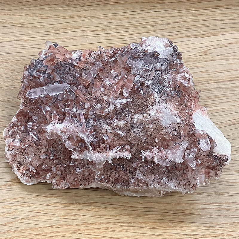 【5-1①】レッドファントム (グントゥール産)   No,4291