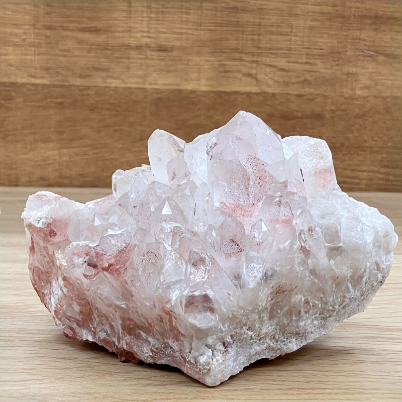 【5-1②】レッドファントム (グントゥール産)   No,4292