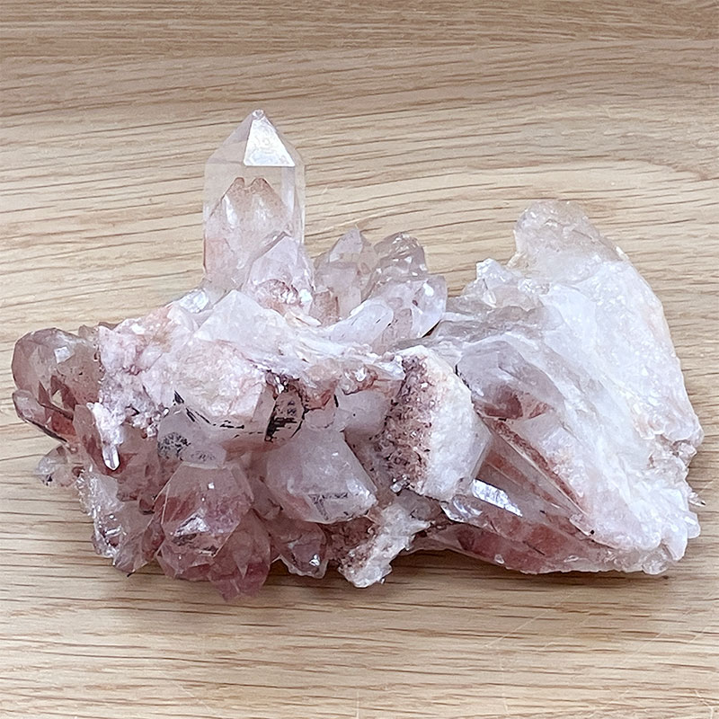 【5-1③】レッドファントム (グントゥール産)   No,4293