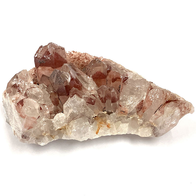 【5-31】レッドファントム (グントゥール産)   No,4314