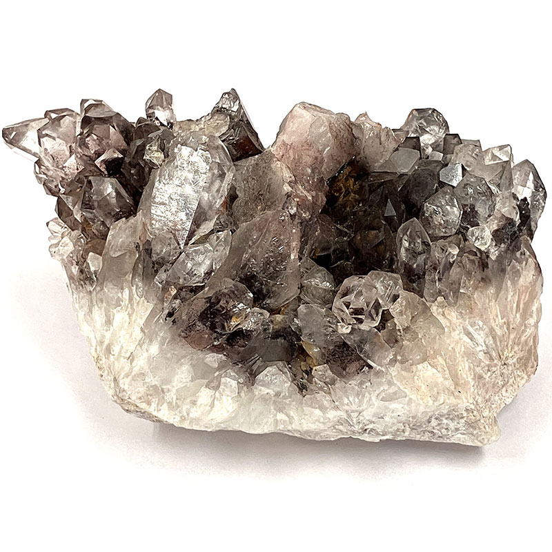 【5-32】レッドファントム (グントゥール産)   No,4315