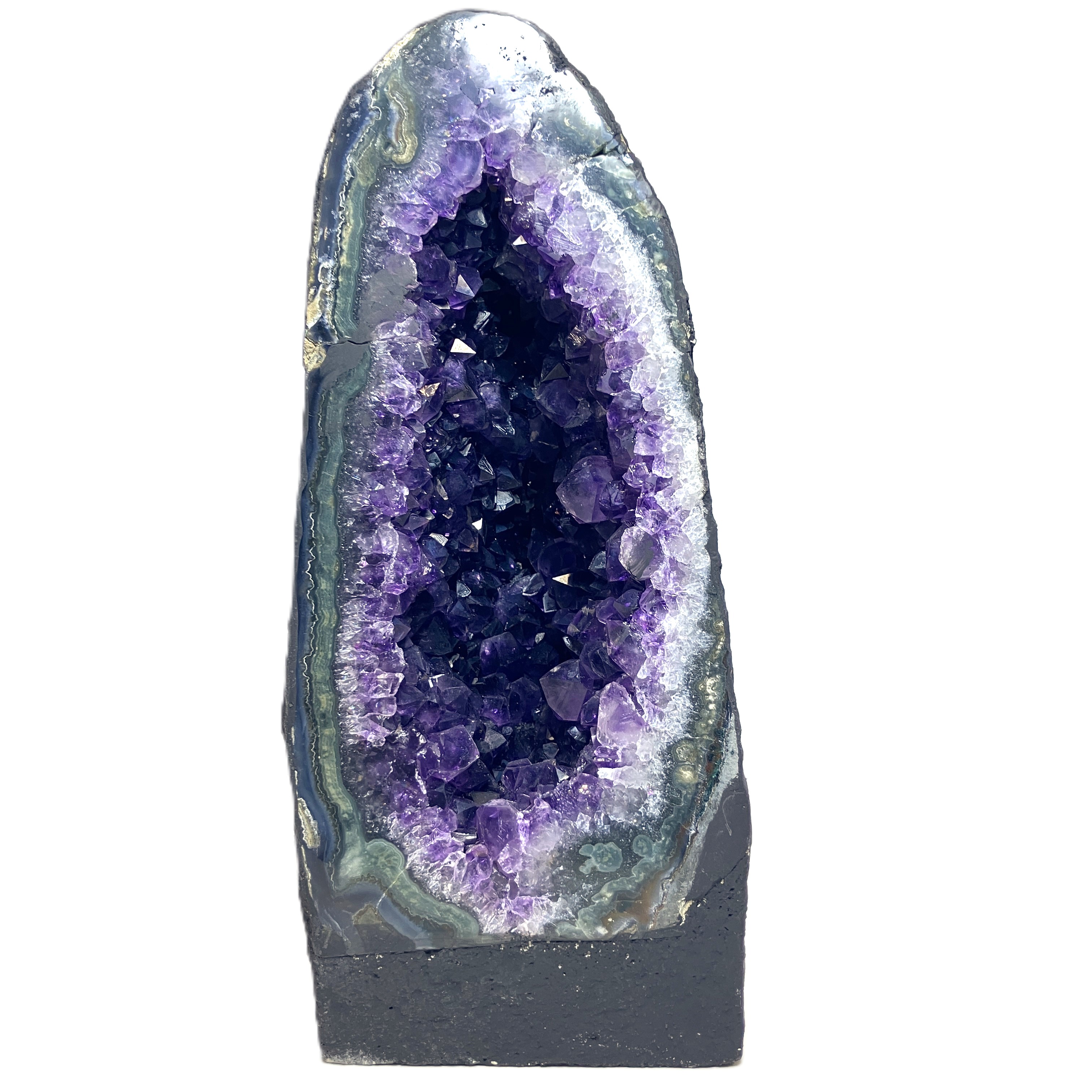 ウルグアイカペーラ　約4.0kg　No,4501