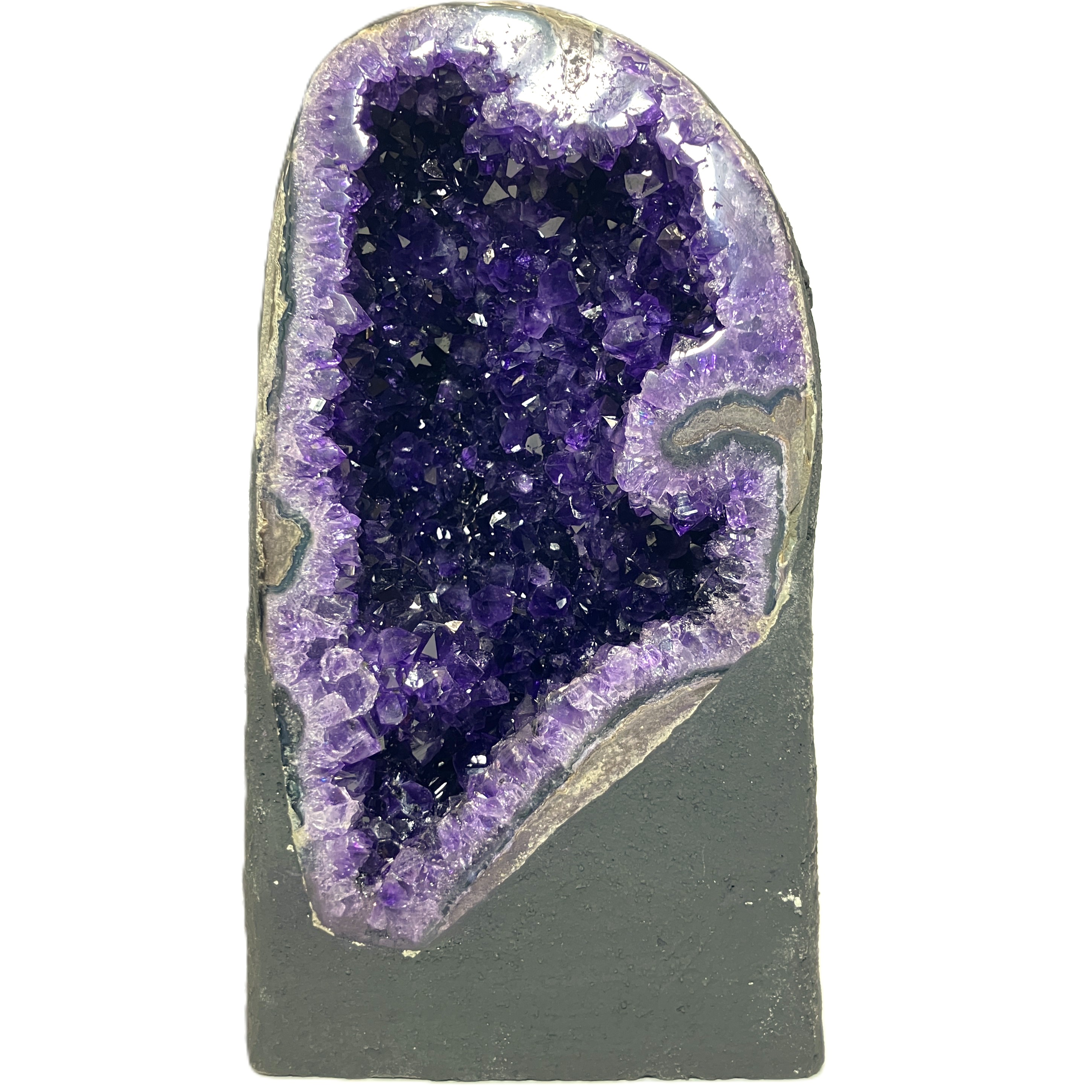 ウルグアイカペーラ　約4.70kg　No,4507