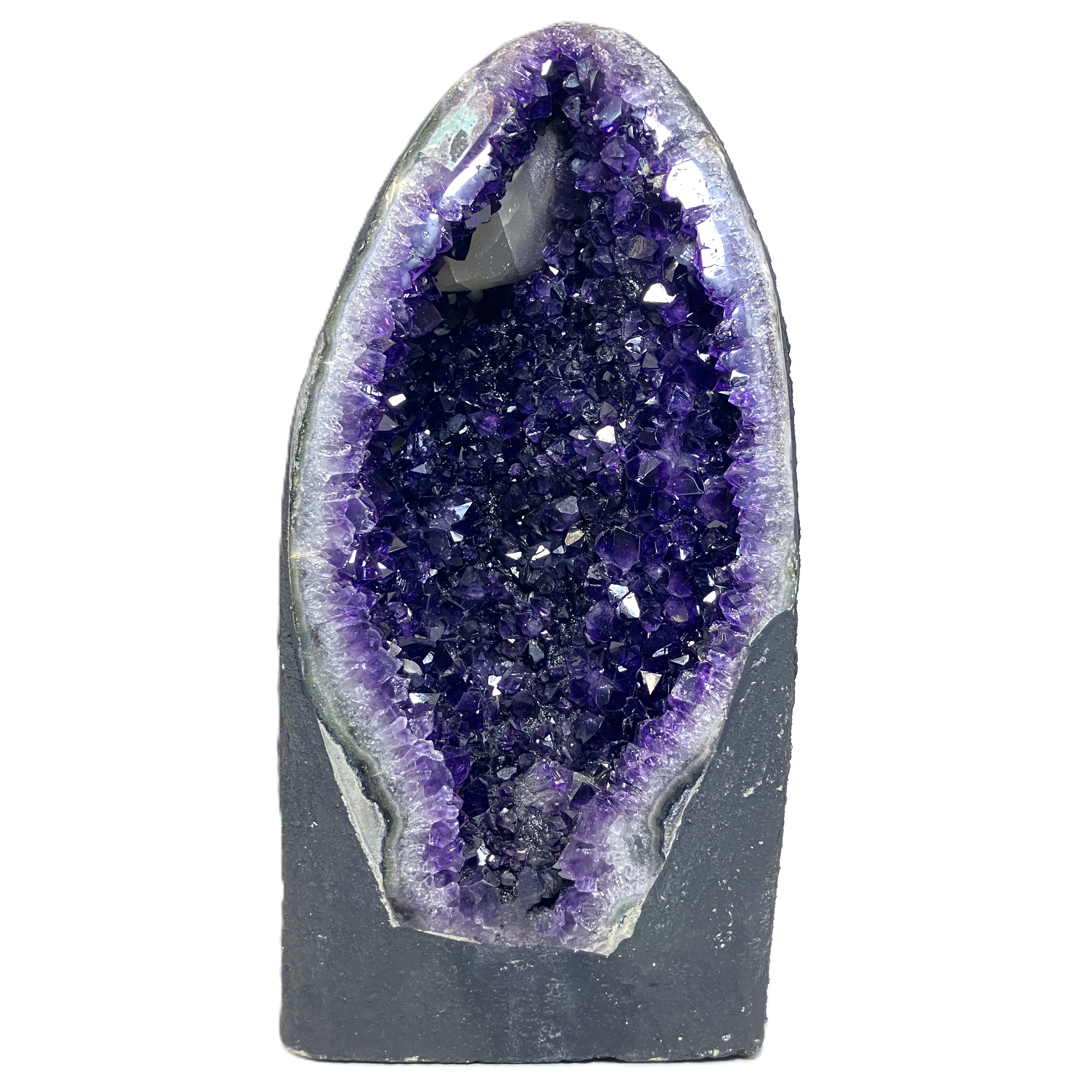 ウルグアイカペーラ　約7.20kg　No,4517