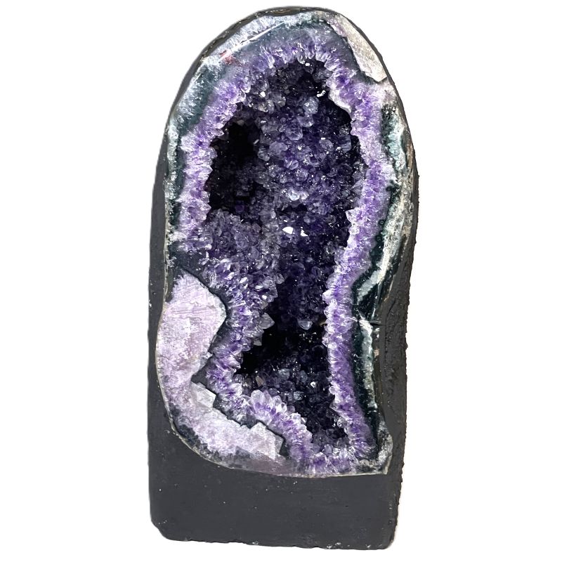 ウルグアイカペーラ　約10.12kg　No,4549