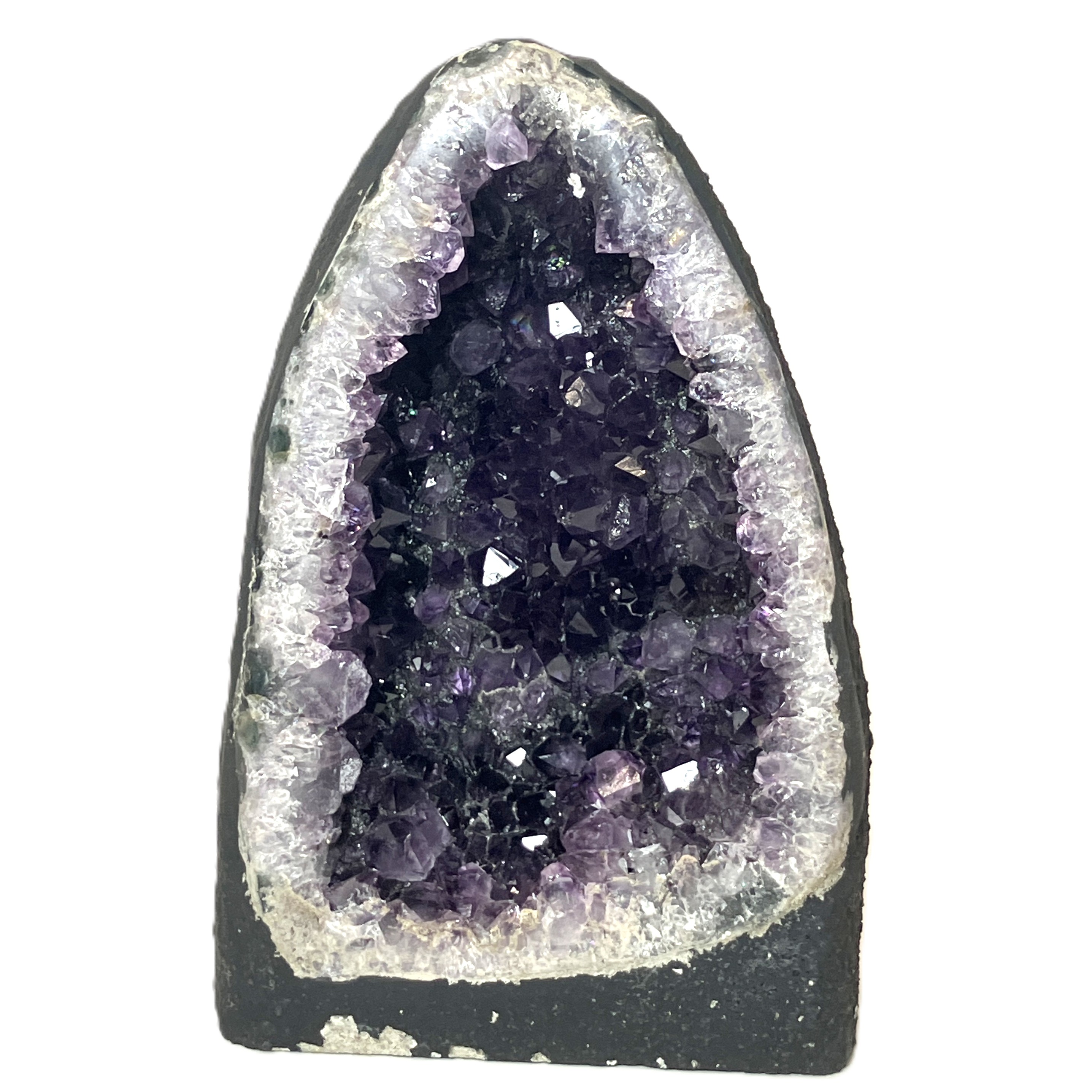 ウルグアイカペーラ　約1.2kg　No,4565