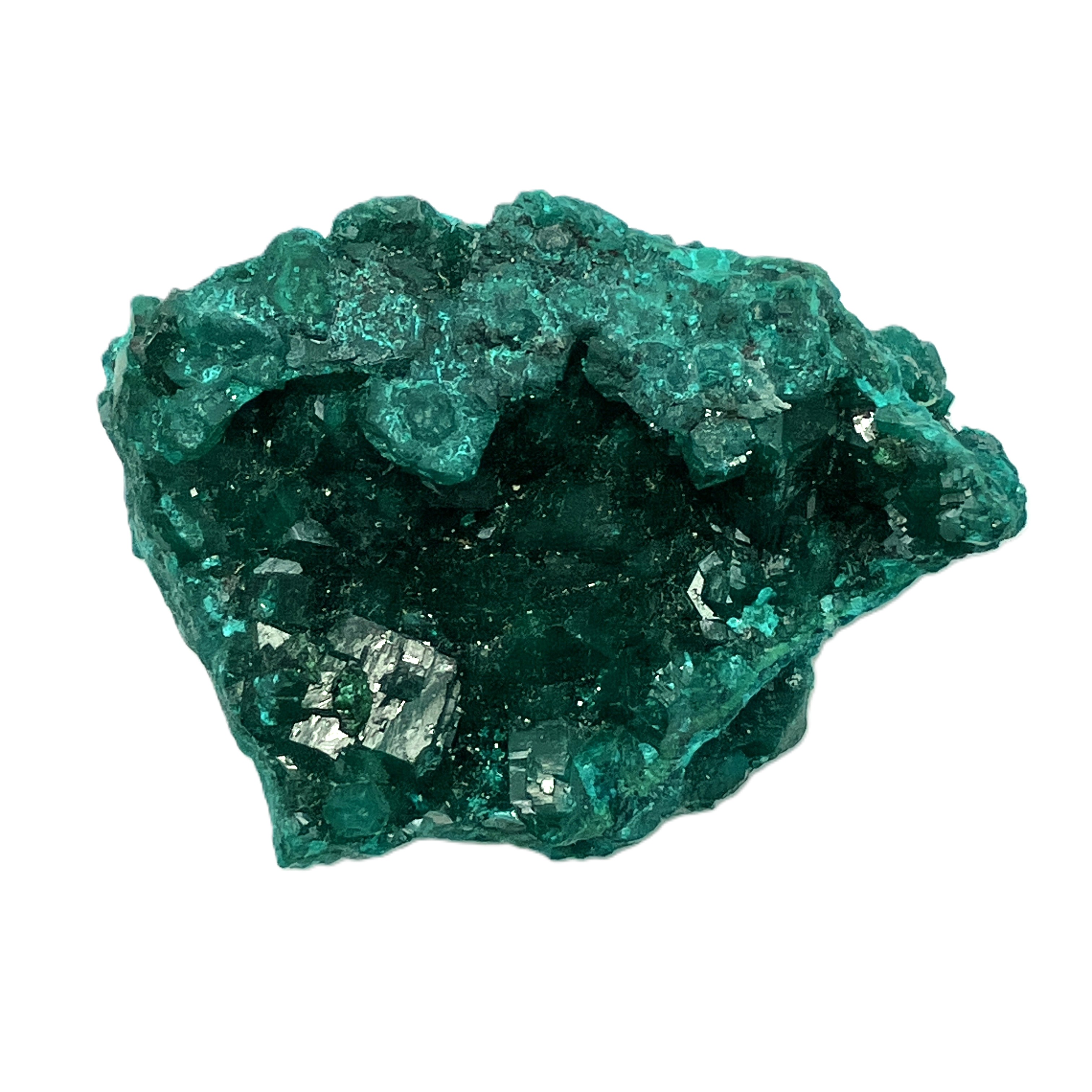 ダイオプテーゼ（L）No,4965