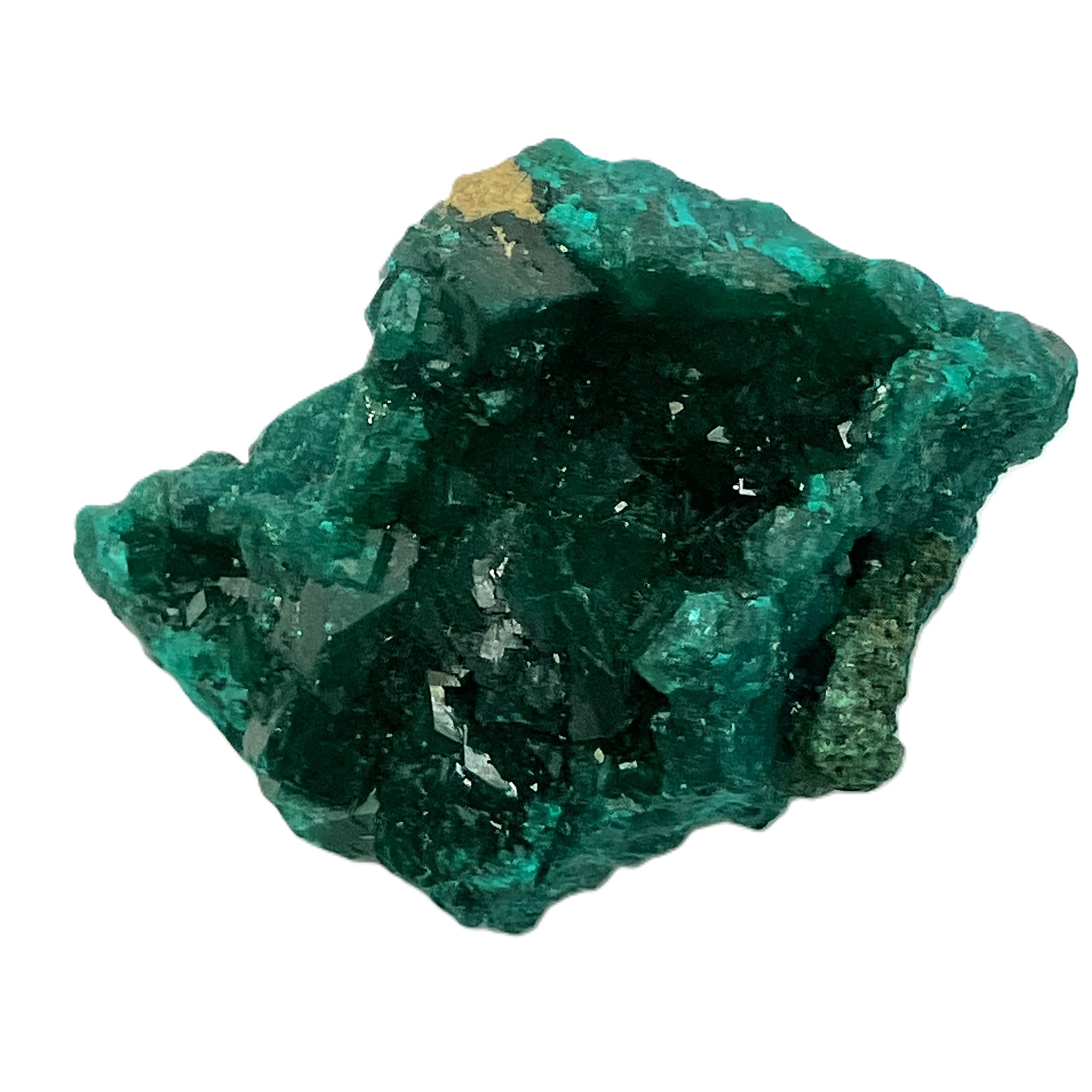 ダイオプテーゼ（L）No,4966