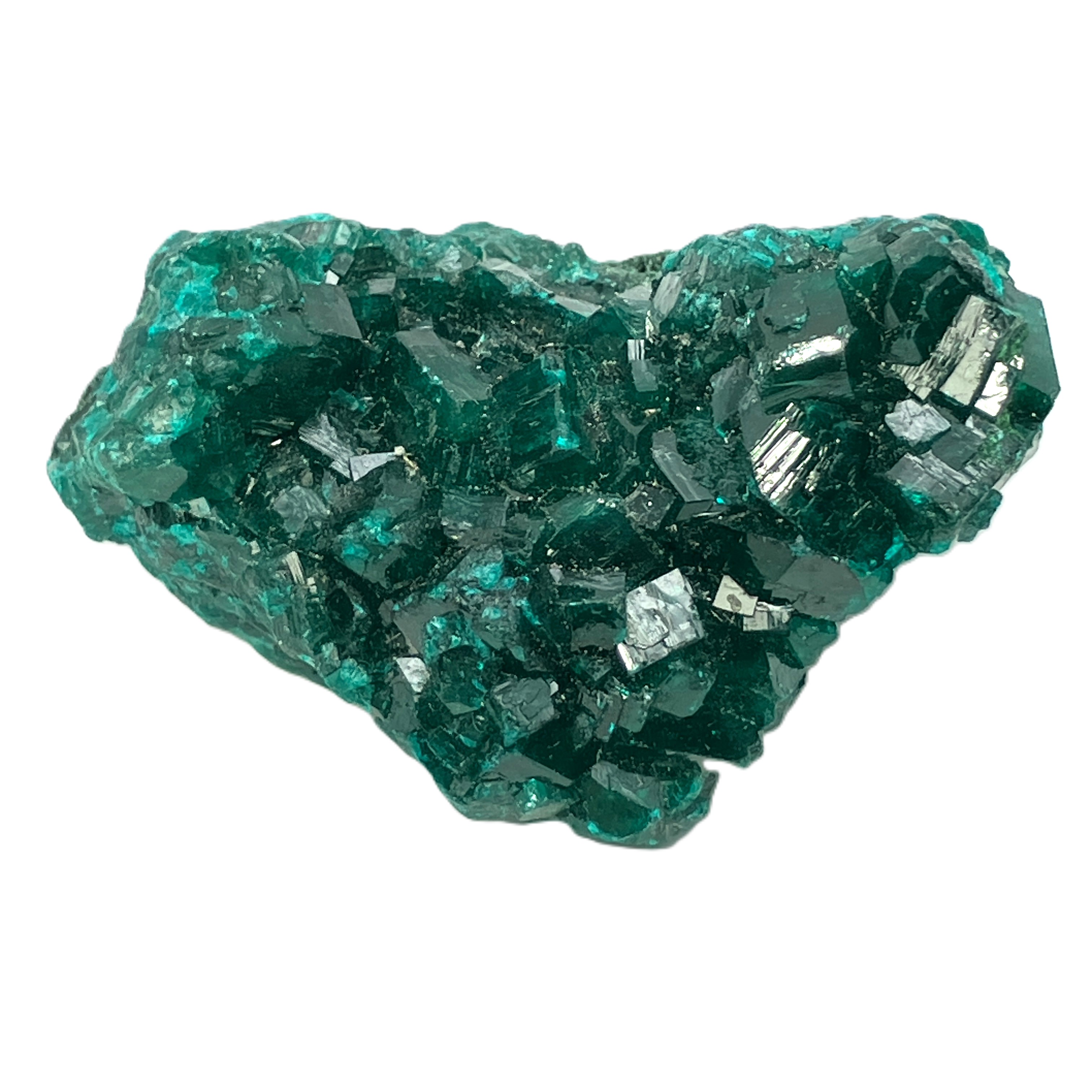 ダイオプテーゼ（L）No,4967