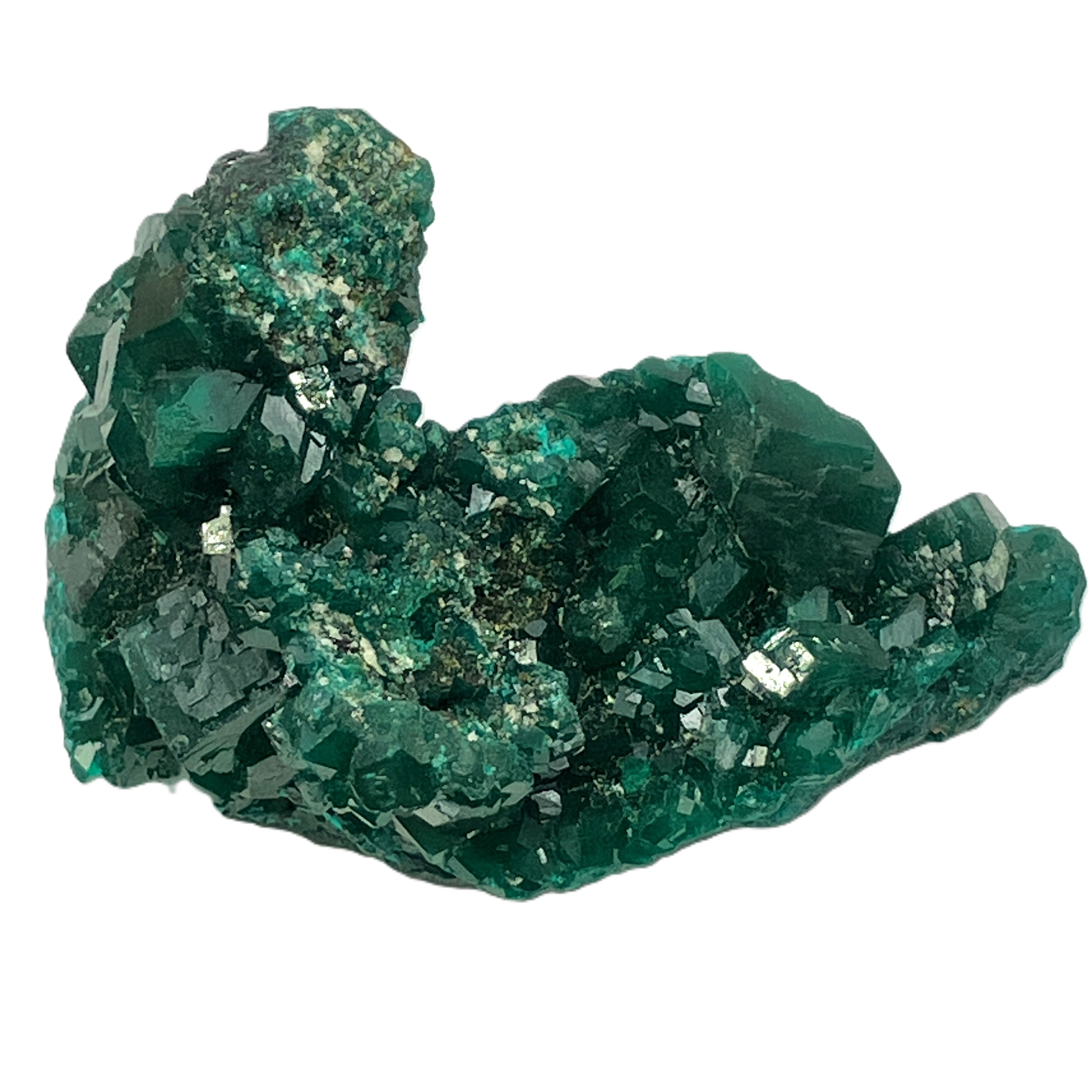 ダイオプテーゼ（L）No,4968