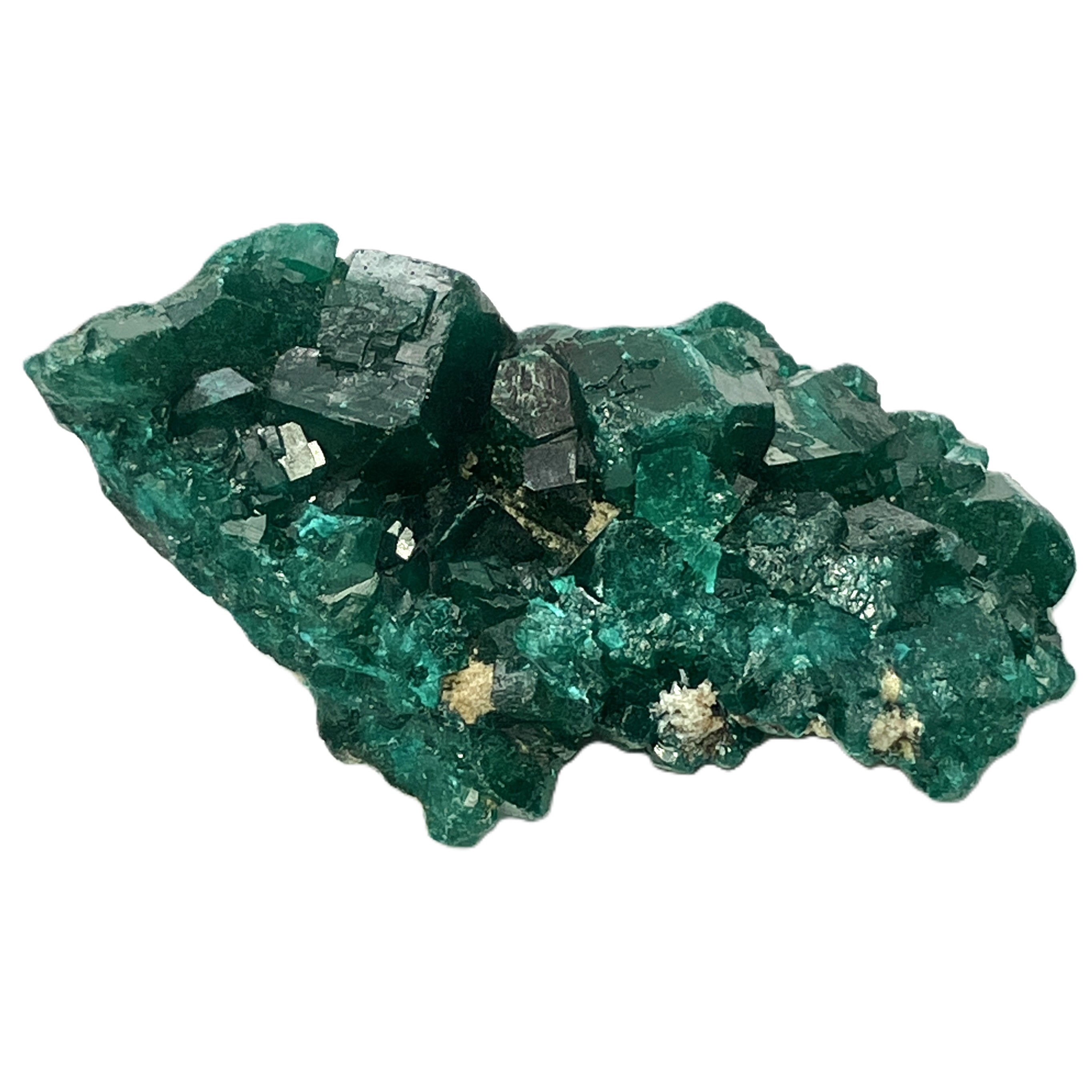 ダイオプテーゼ（S）No,4969