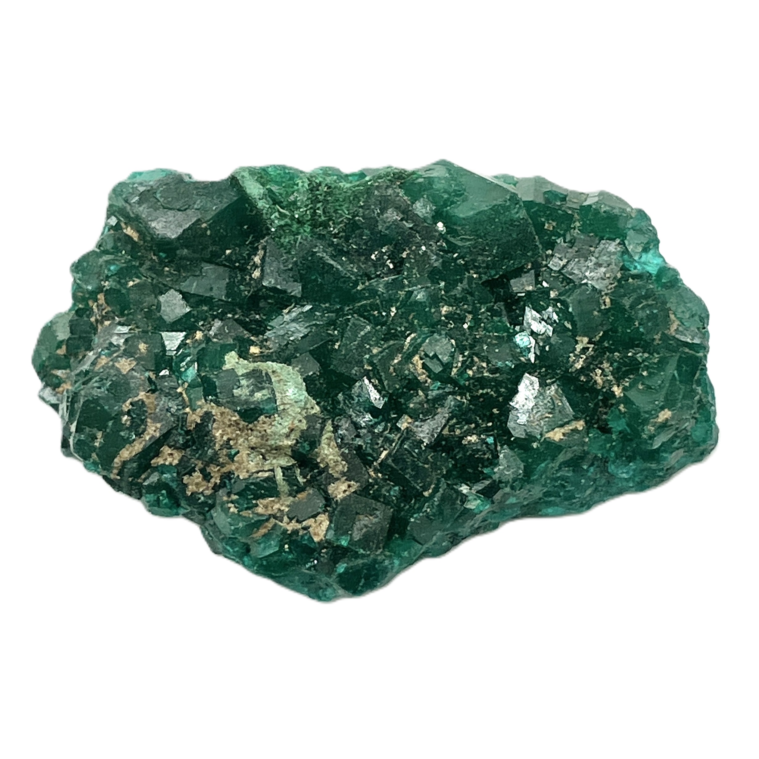 ダイオプテーゼ（S）No,4972