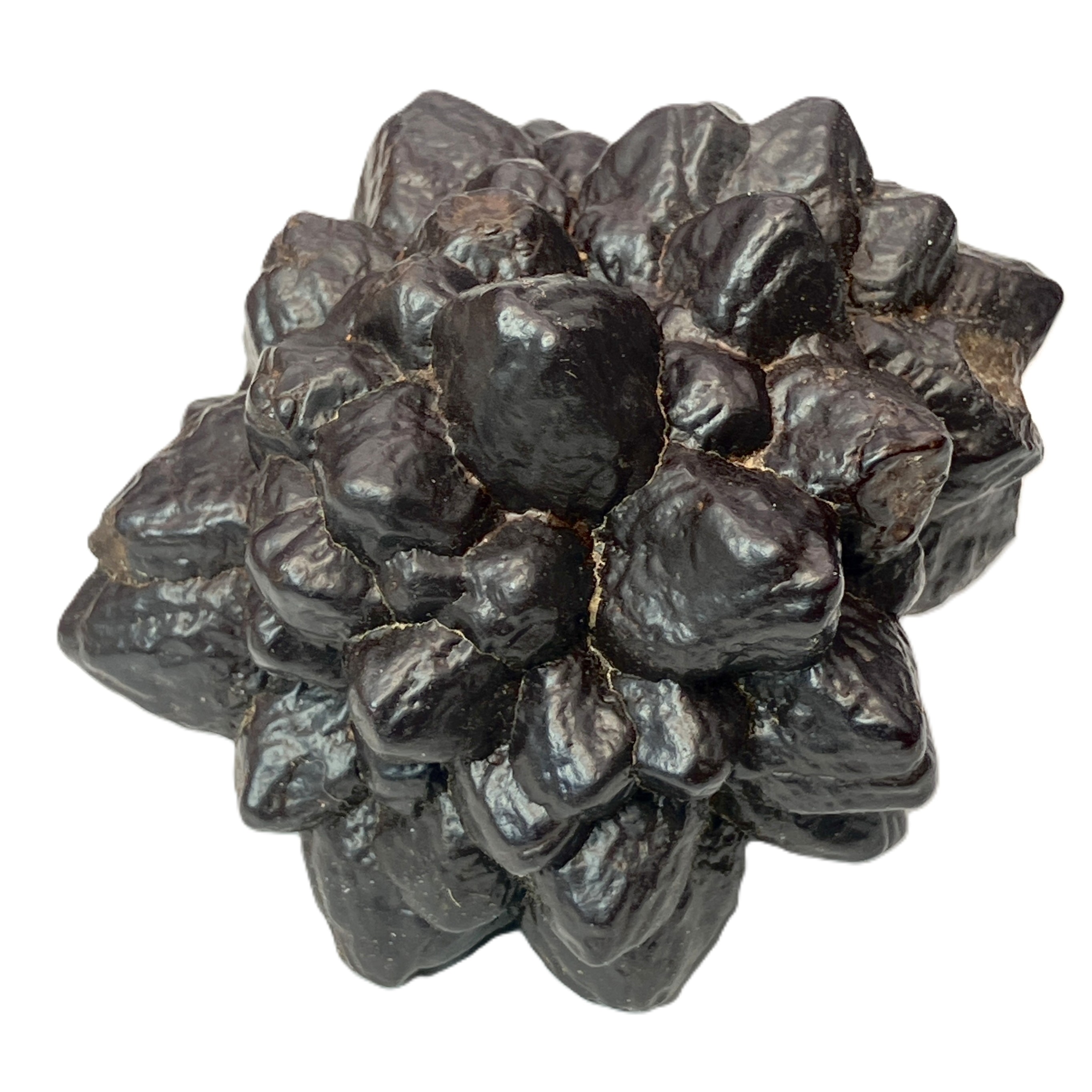 ゼットストーン（LL）No,4986