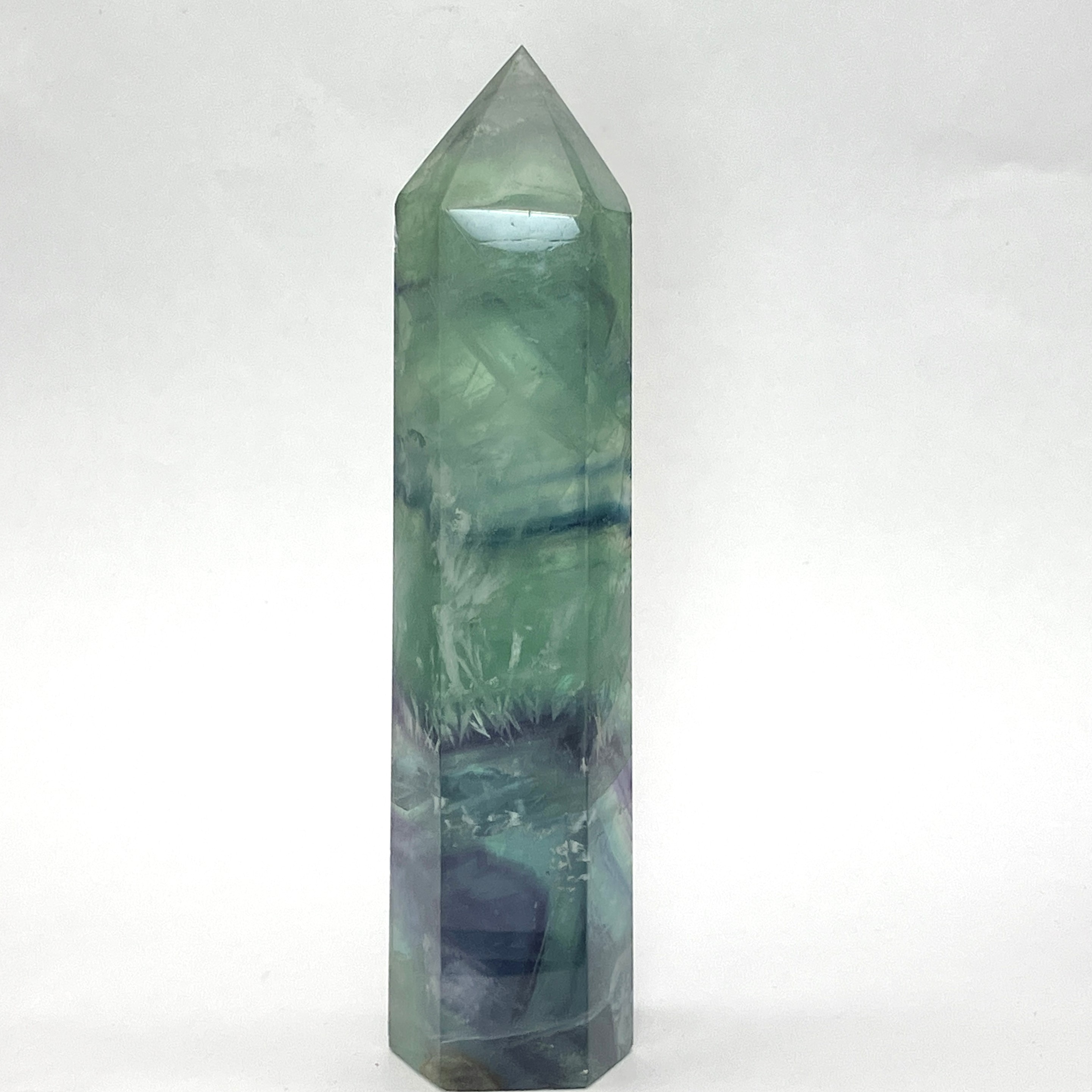 マルチフローライトポイント (フェザー)  約450g　No,5090