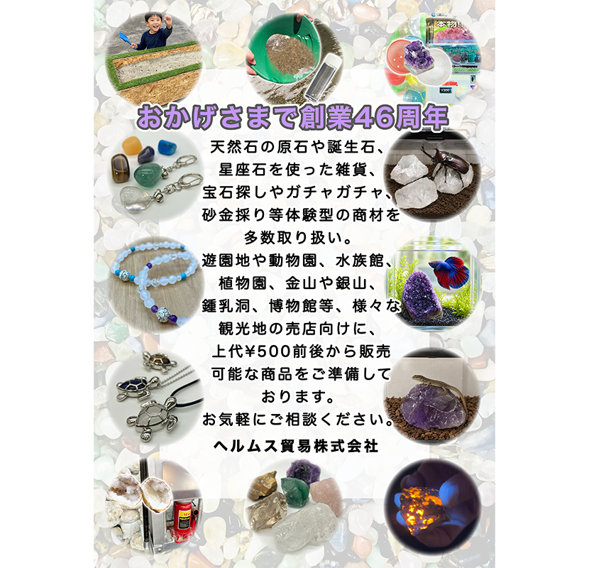 観光地新規用チラシ